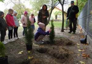 6 latki sadzą krzewy